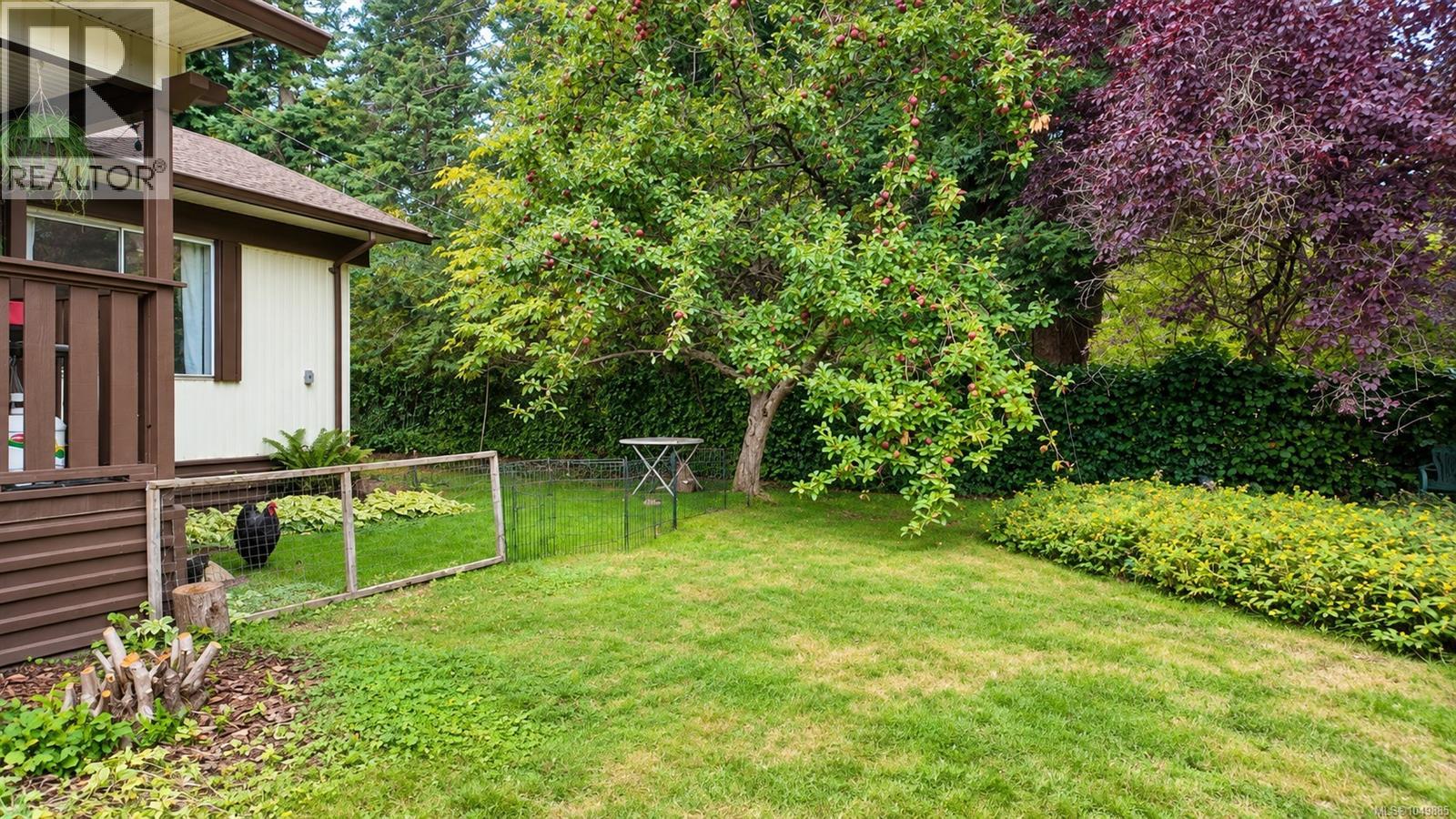 picture 39