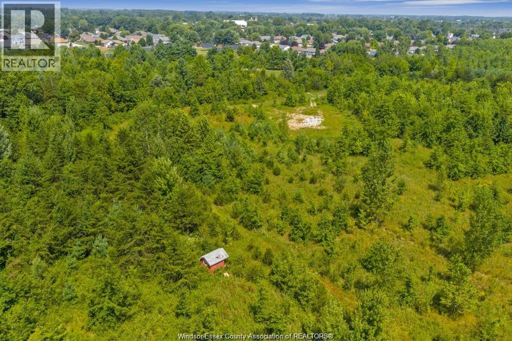 39 William Street, Kingsville, Ontario  N0R 1B0 - Photo 7 - 26022981