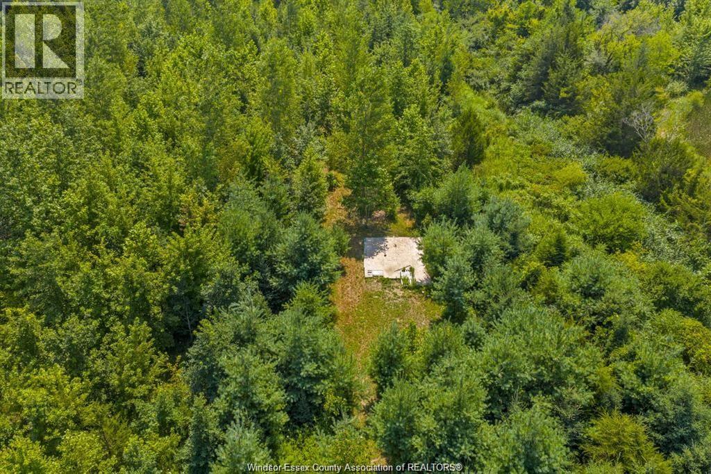 39 William Street, Kingsville, Ontario  N0R 1B0 - Photo 9 - 26022981