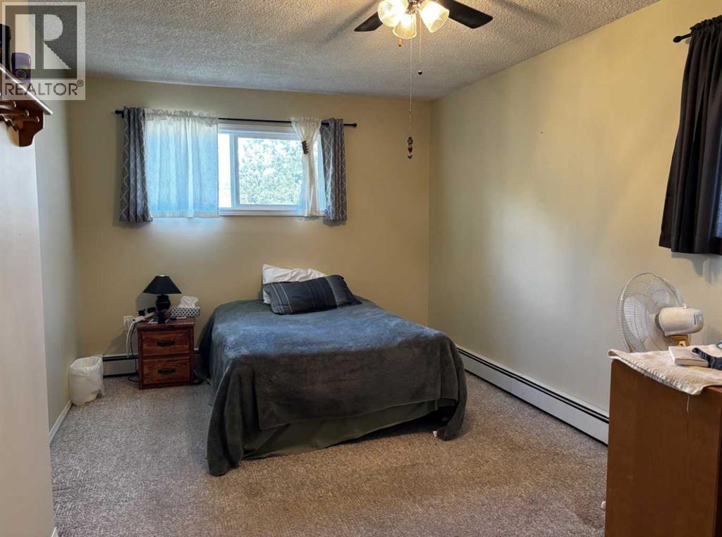 4923 52 Avenue photo 25