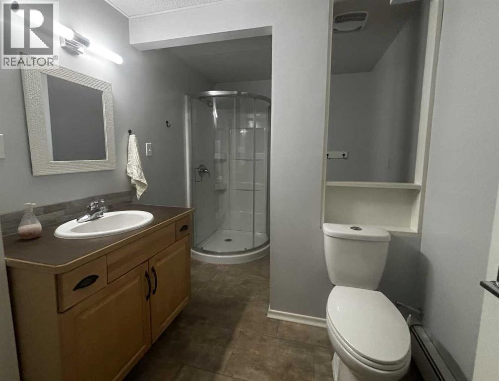 4923 52 Avenue photo 41