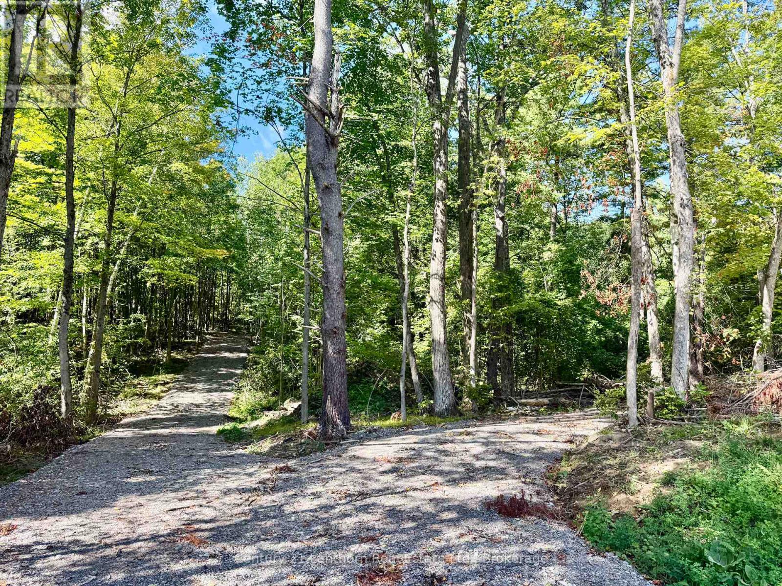 00 NORTH LOT HIGHWAY 62, Madoc, Ontario