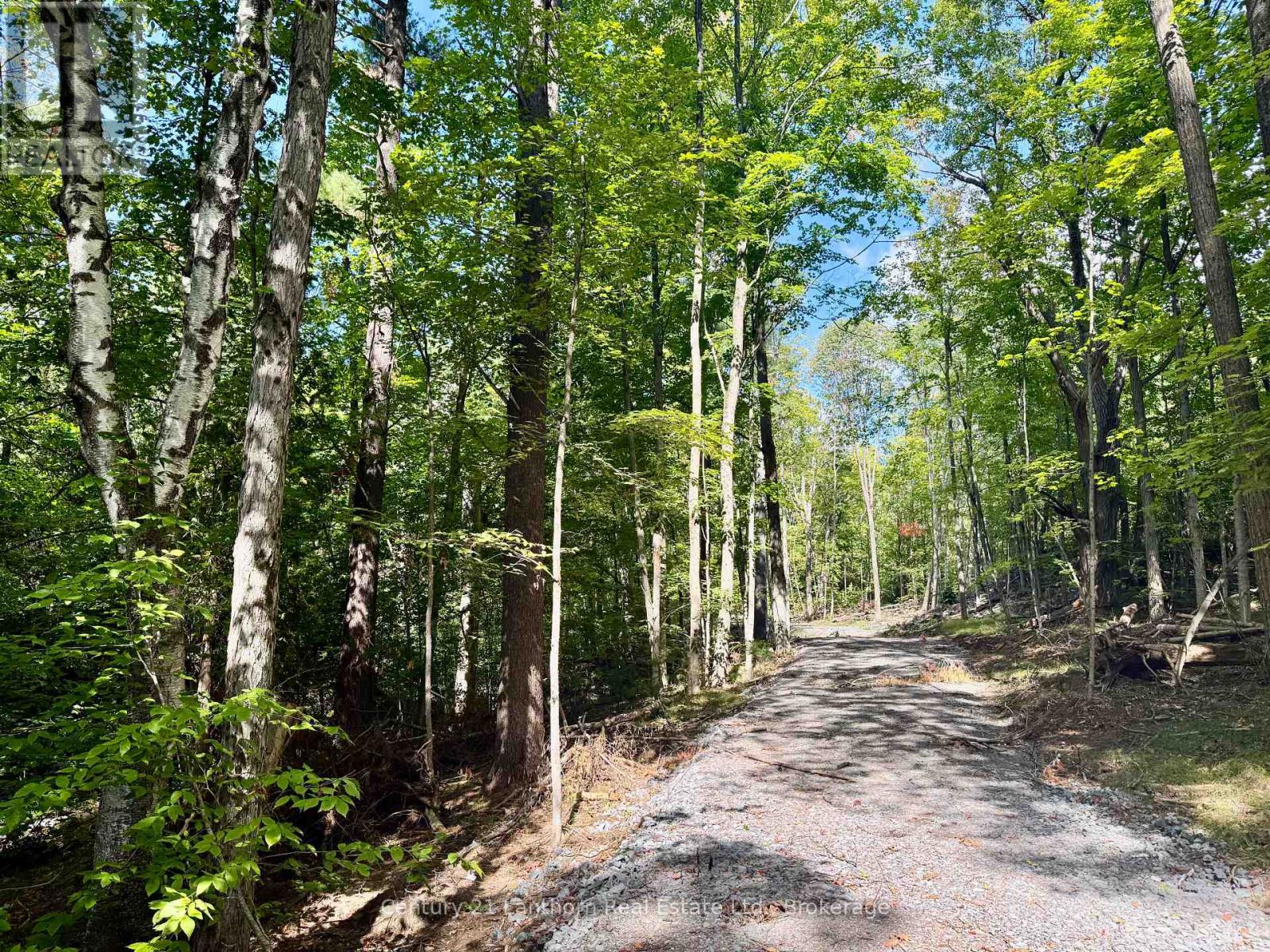00 North Lot Highway 62, Madoc, Ontario  K0K 2K0 - Photo 2 - X13803654