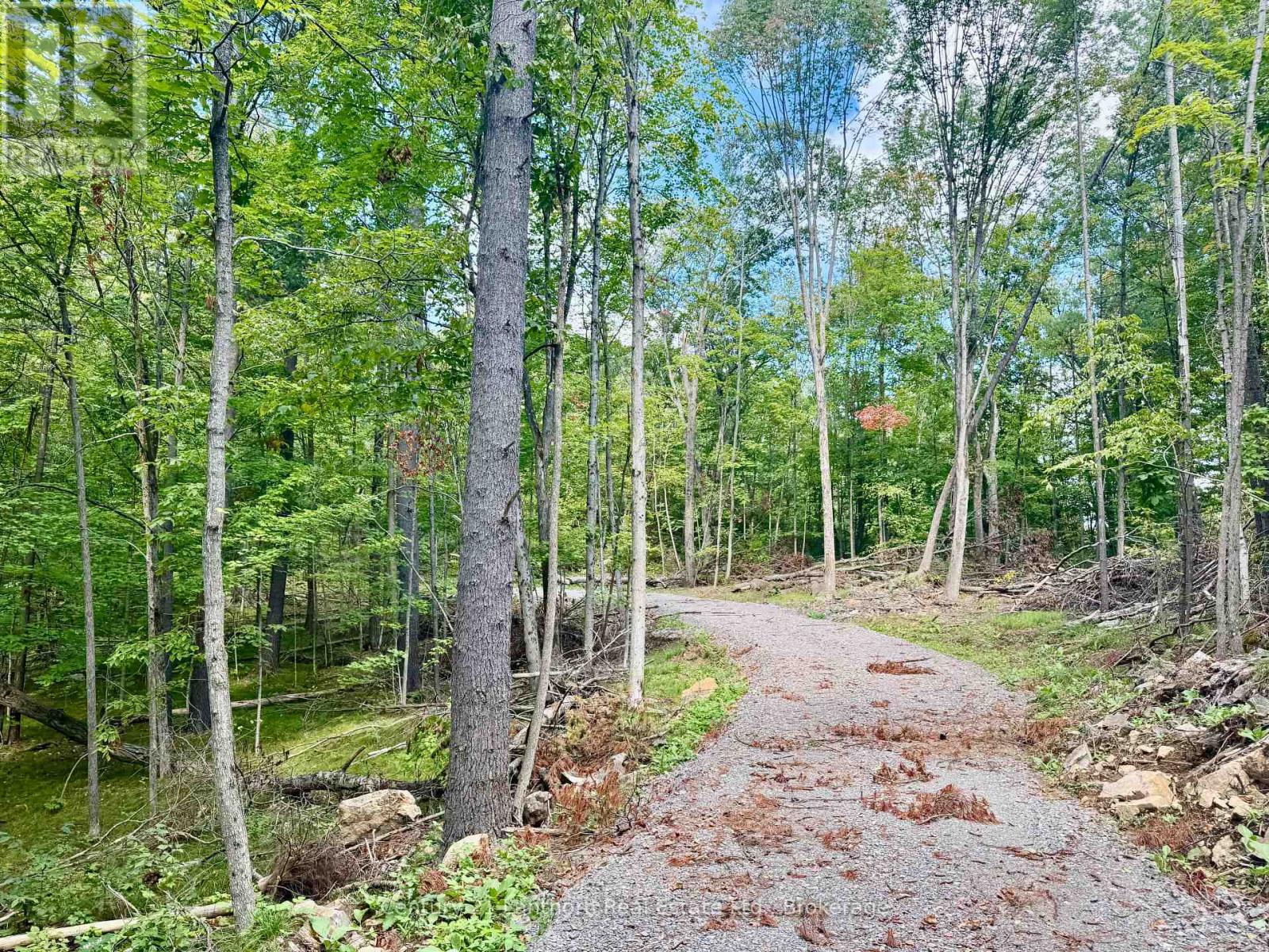 00 North Lot Highway 62, Madoc, Ontario  K0K 2K0 - Photo 3 - X13803654