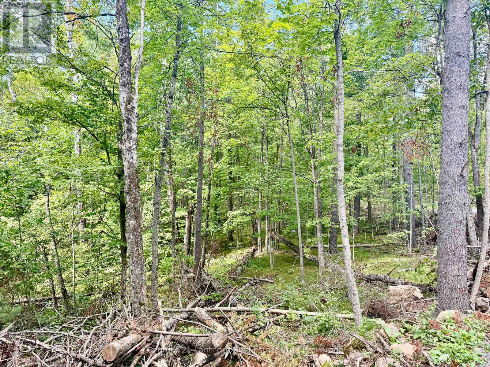 00 North Lot Highway 62, Madoc, Ontario  K0K 2K0 - Photo 4 - X13803654