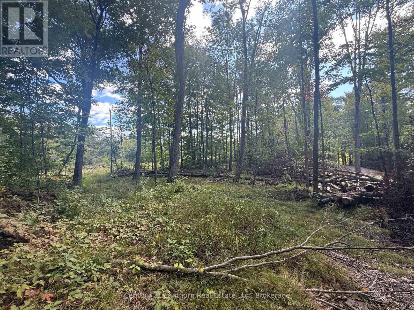 00 North Lot Highway 62, Madoc, Ontario  K0K 2K0 - Photo 5 - X13803654