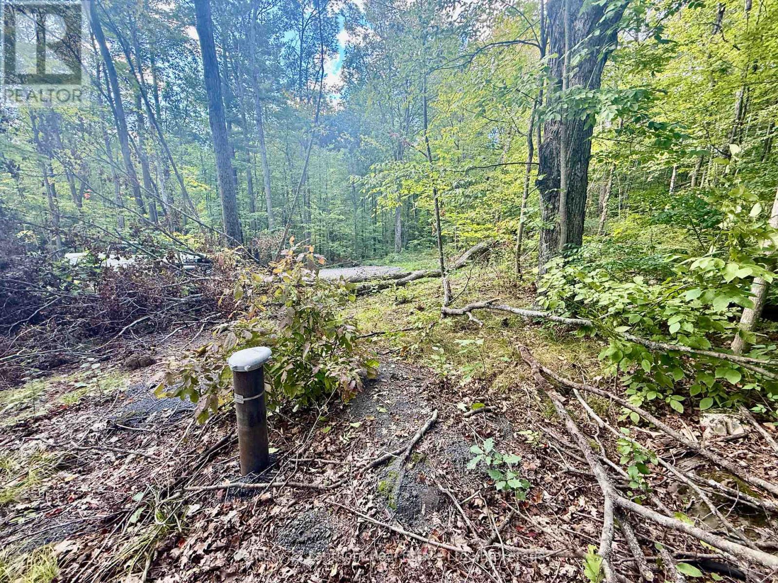 00 North Lot Highway 62, Madoc, Ontario  K0K 2K0 - Photo 6 - X13803654