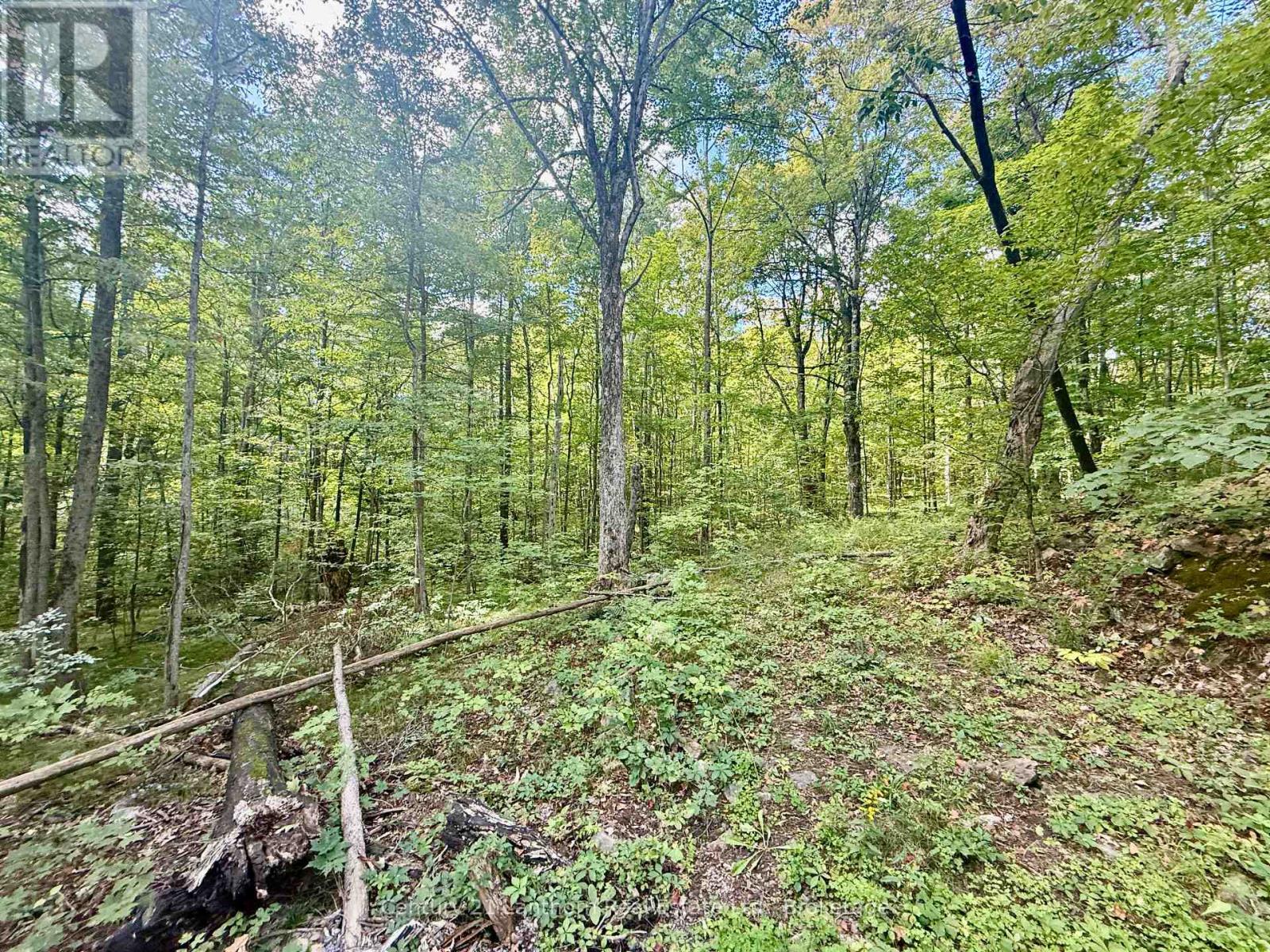 00 North Lot Highway 62, Madoc, Ontario  K0K 2K0 - Photo 7 - X13803654