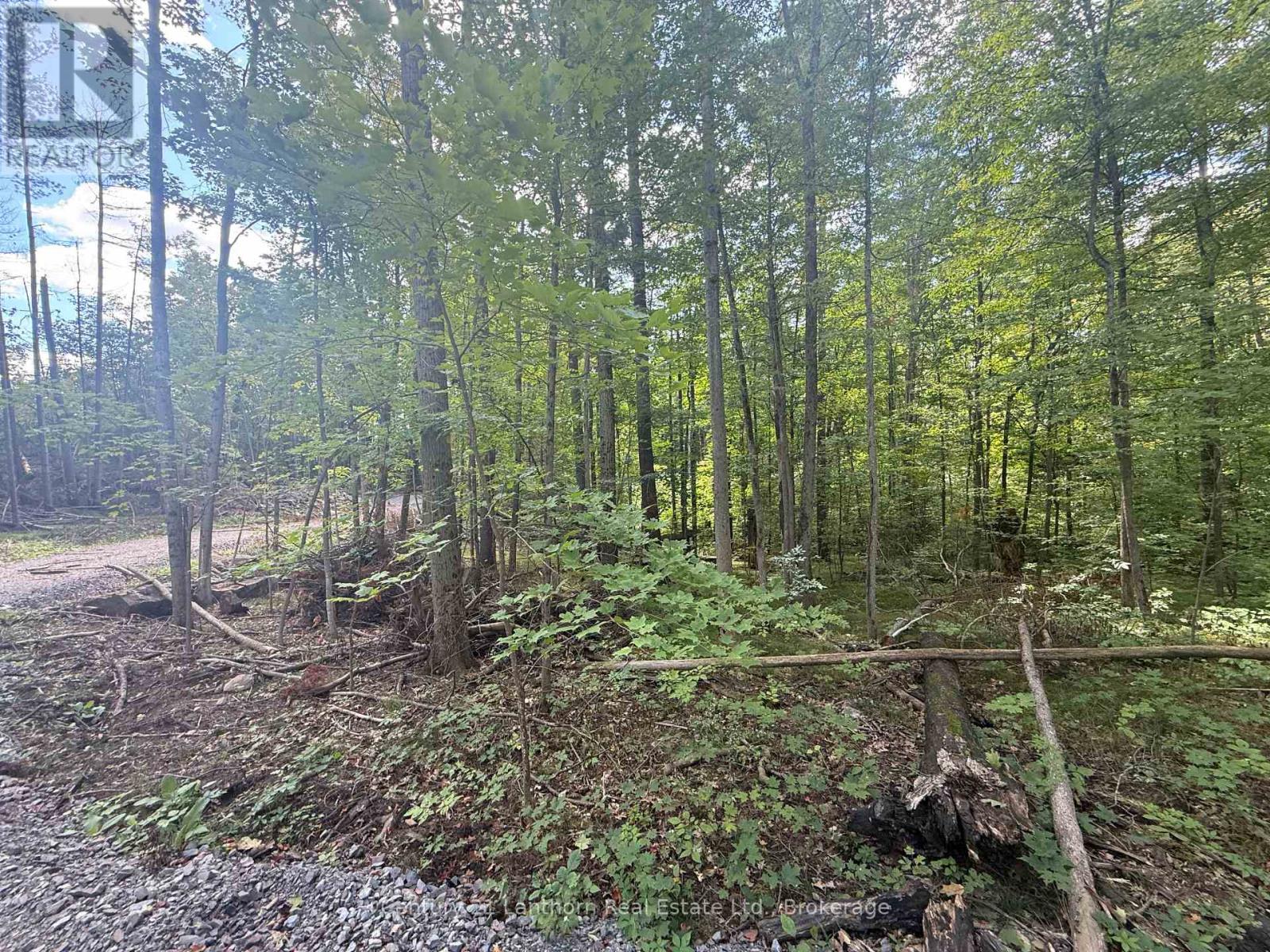 00 North Lot Highway 62, Madoc, Ontario  K0K 2K0 - Photo 8 - X13803654