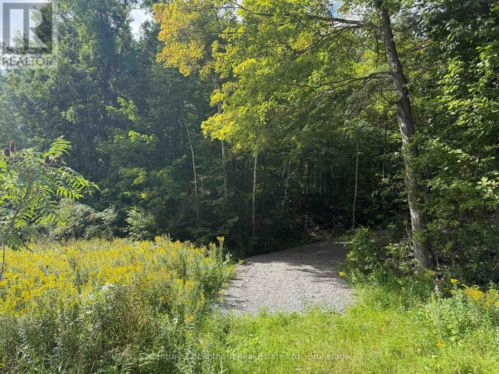 00 SOUTH LOT HIGHWAY 62, Madoc, Ontario