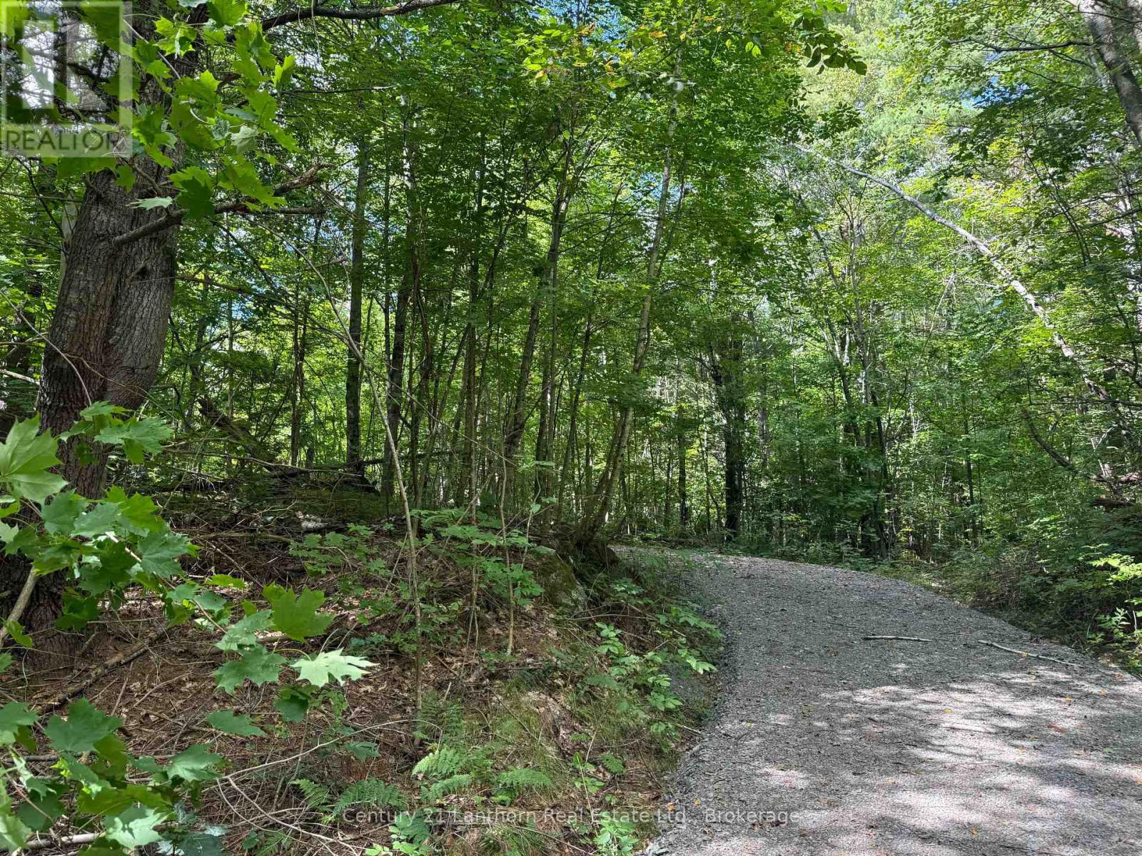 00 South Lot Highway 62, Madoc, Ontario  K0K 2K0 - Photo 3 - X13803658