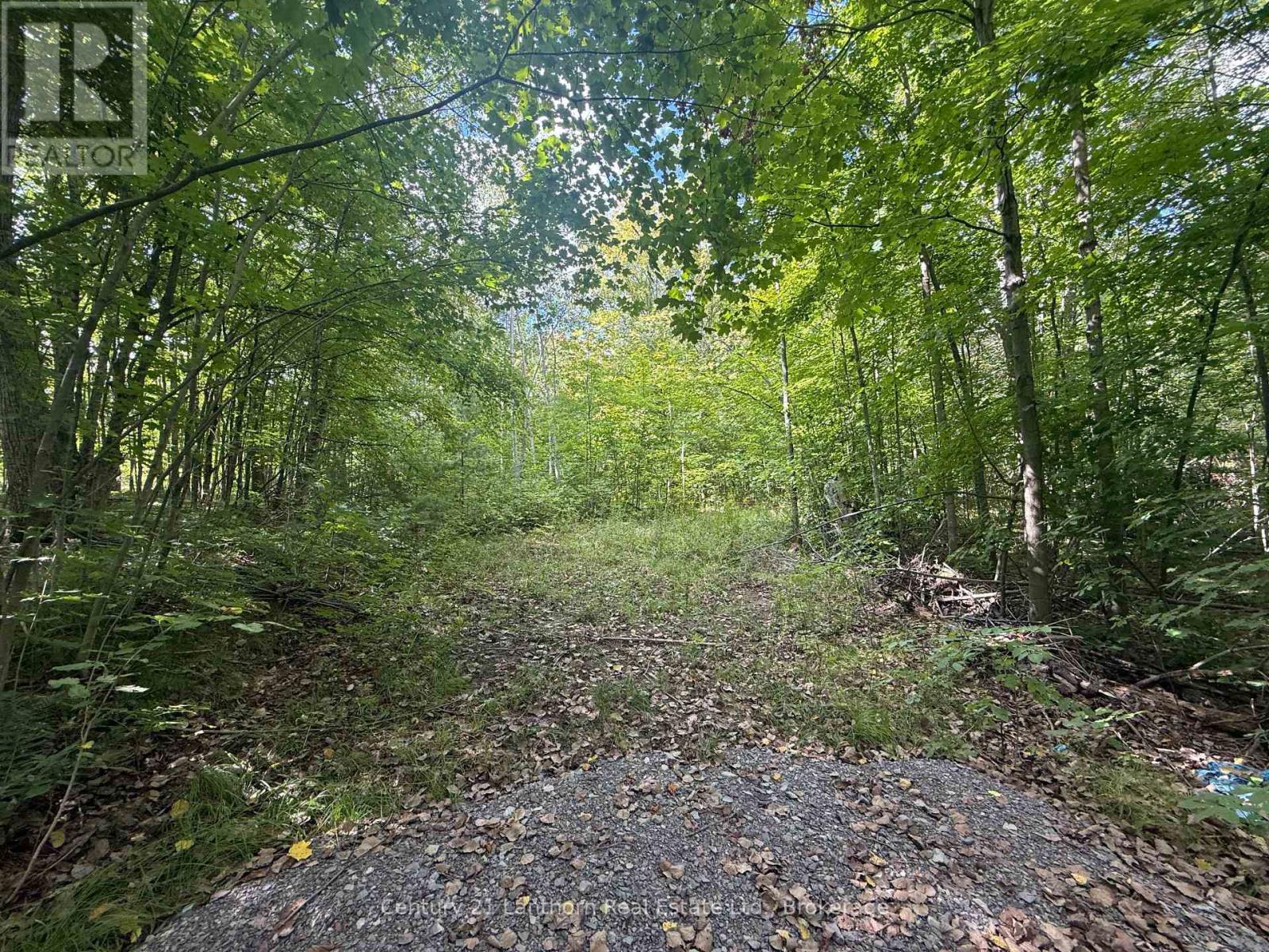 00 South Lot Highway 62, Madoc, Ontario  K0K 2K0 - Photo 4 - X13803658