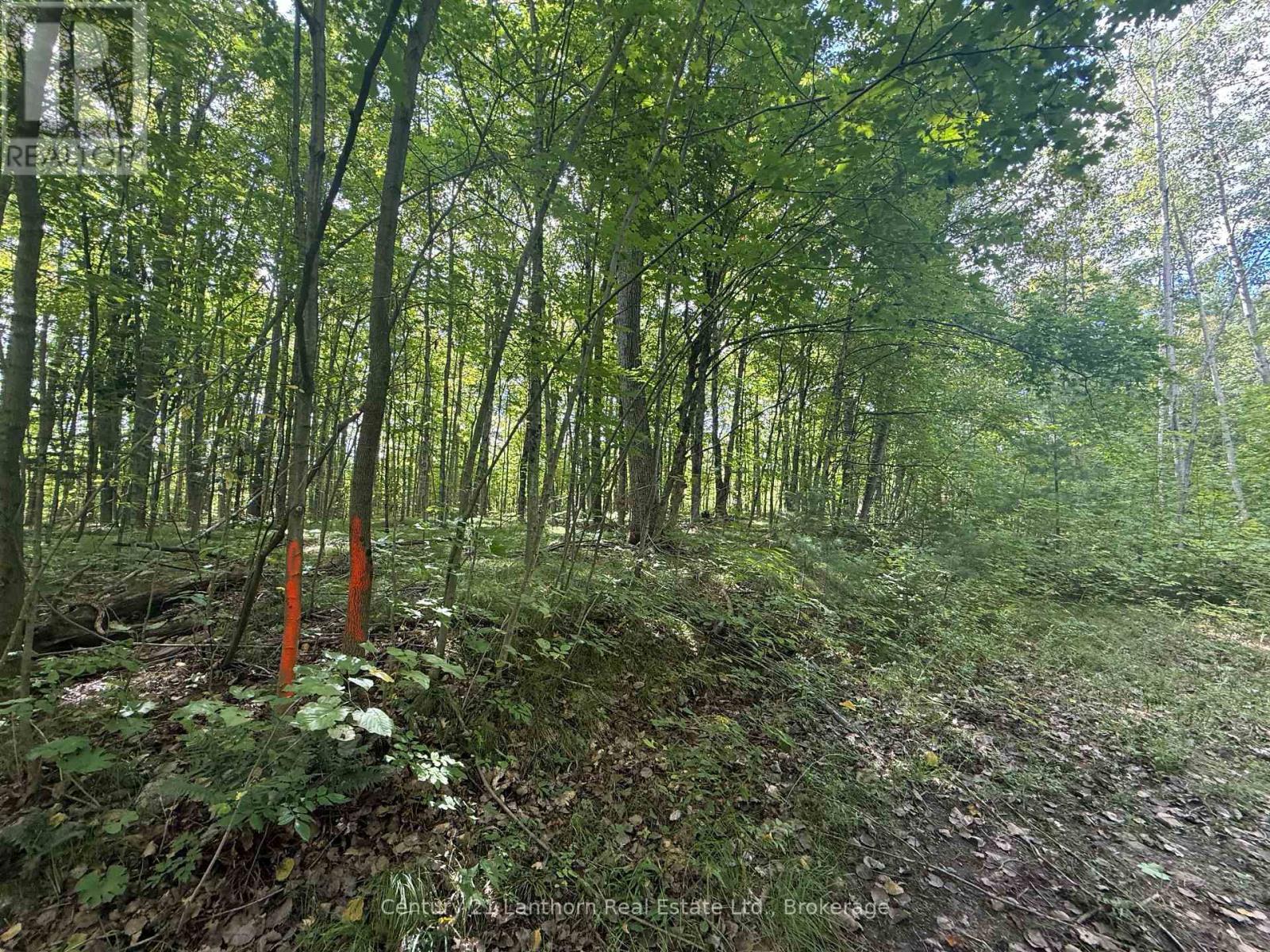 00 South Lot Highway 62, Madoc, Ontario  K0K 2K0 - Photo 5 - X13803658
