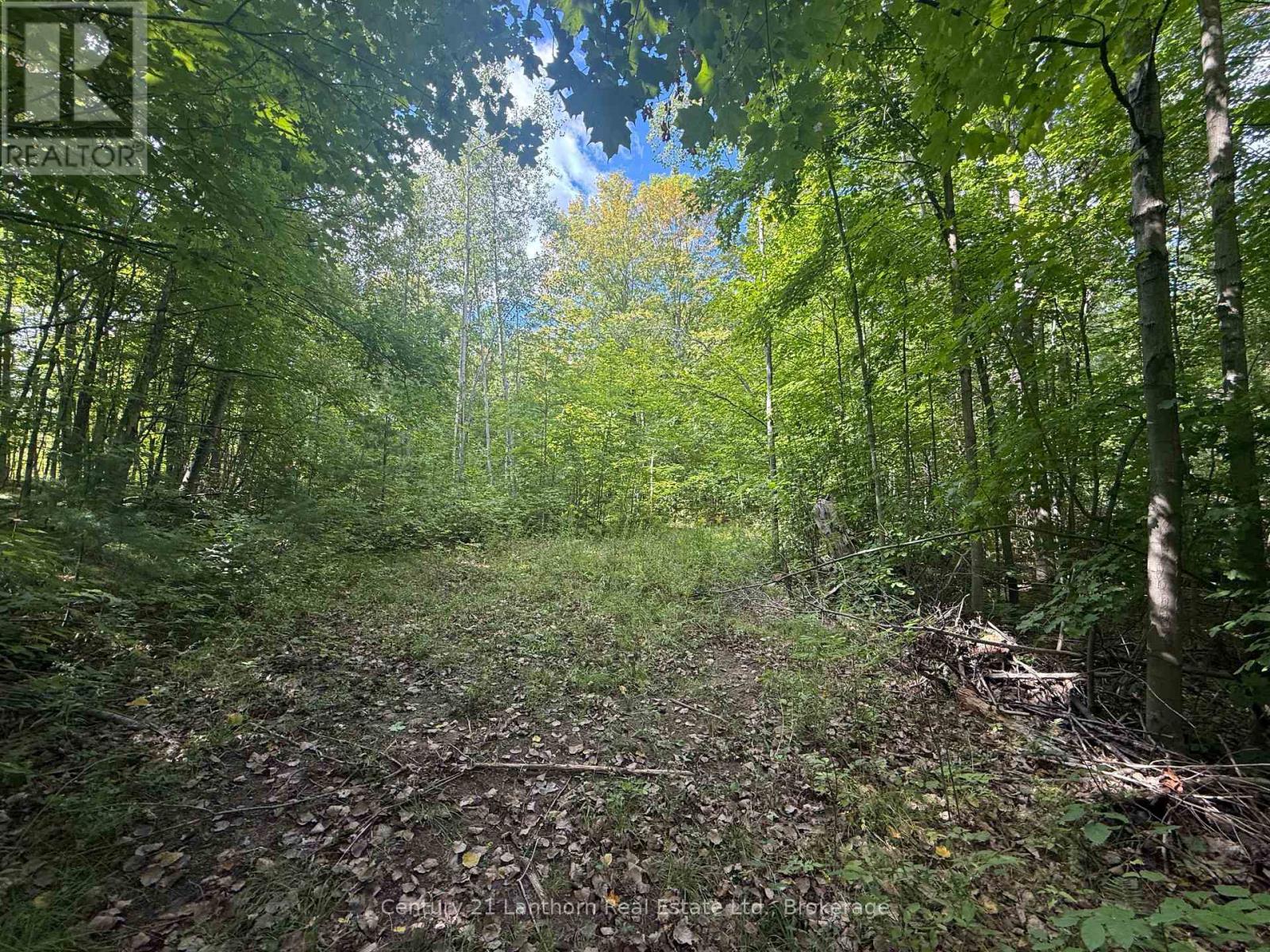 00 South Lot Highway 62, Madoc, Ontario  K0K 2K0 - Photo 6 - X13803658
