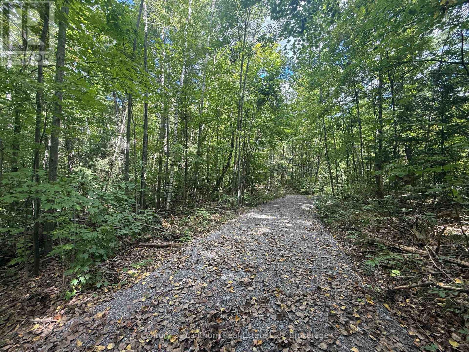 00 South Lot Highway 62, Madoc, Ontario  K0K 2K0 - Photo 7 - X13803658
