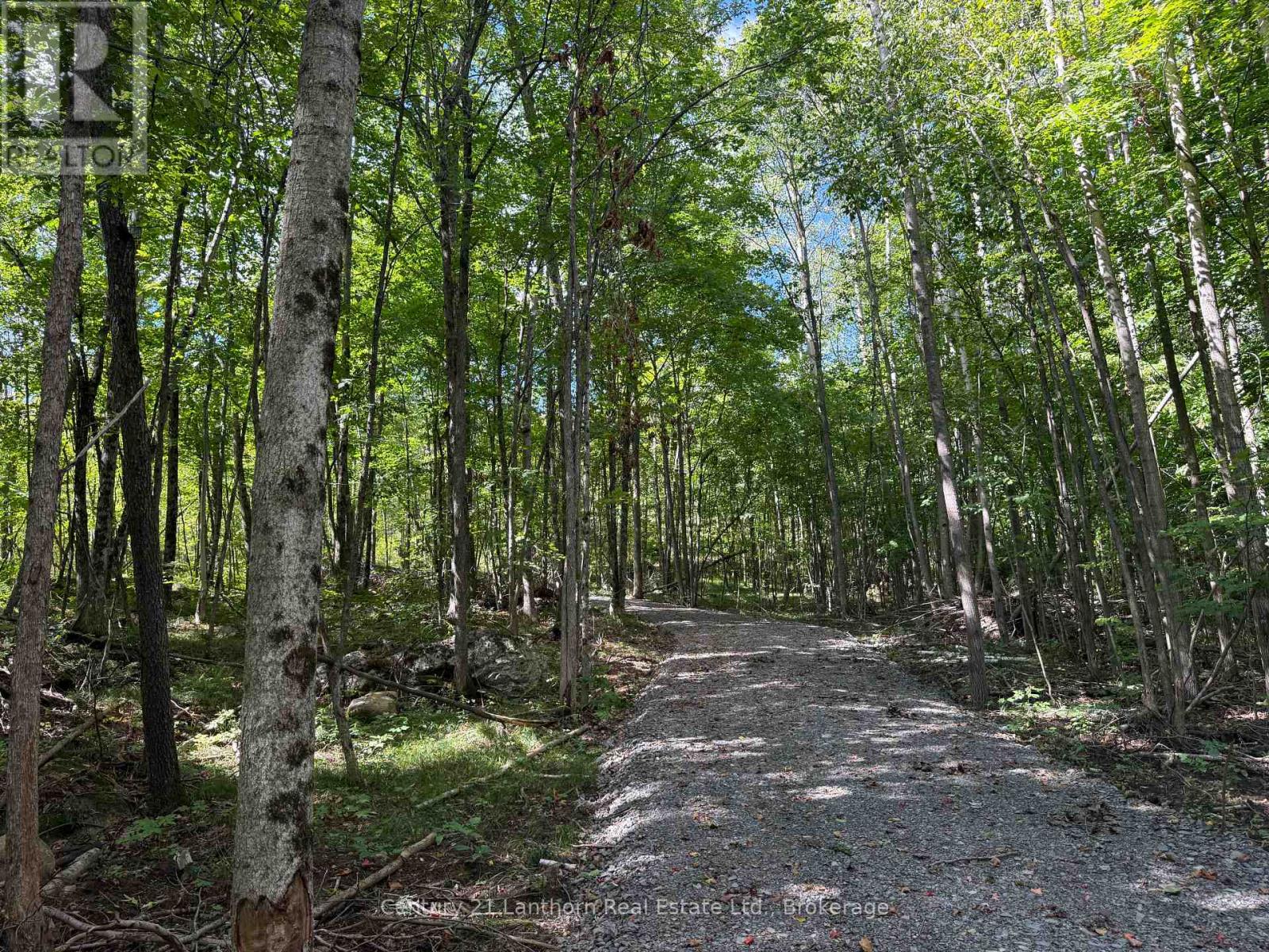 00 MIDDLE LOT HIGHWAY 62, Madoc, Ontario