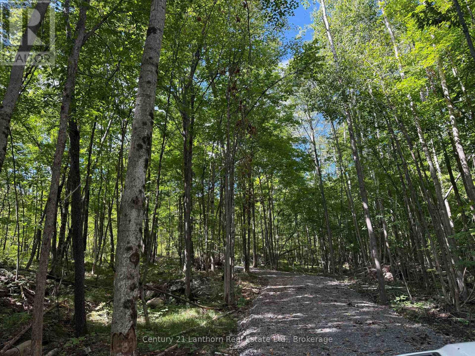 00 Middle Lot Highway 62, Madoc, Ontario  K0K 2K0 - Photo 2 - X13803664