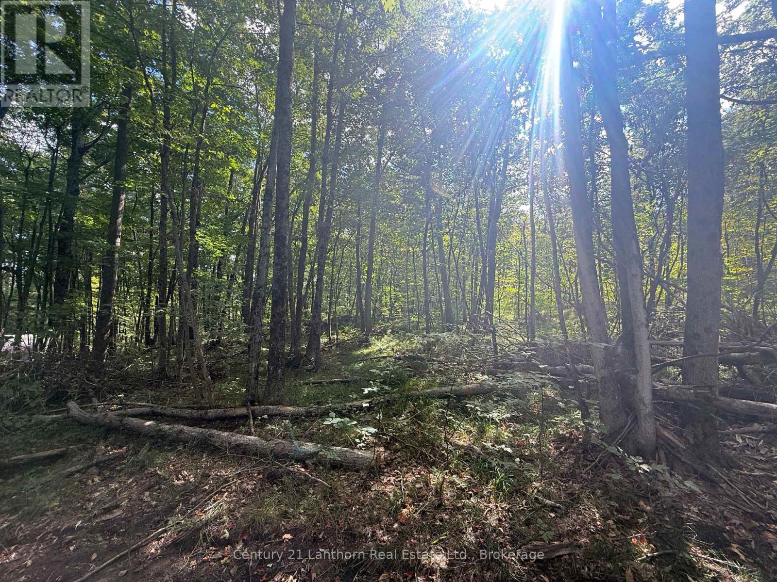 00 Middle Lot Highway 62, Madoc, Ontario  K0K 2K0 - Photo 3 - X13803664