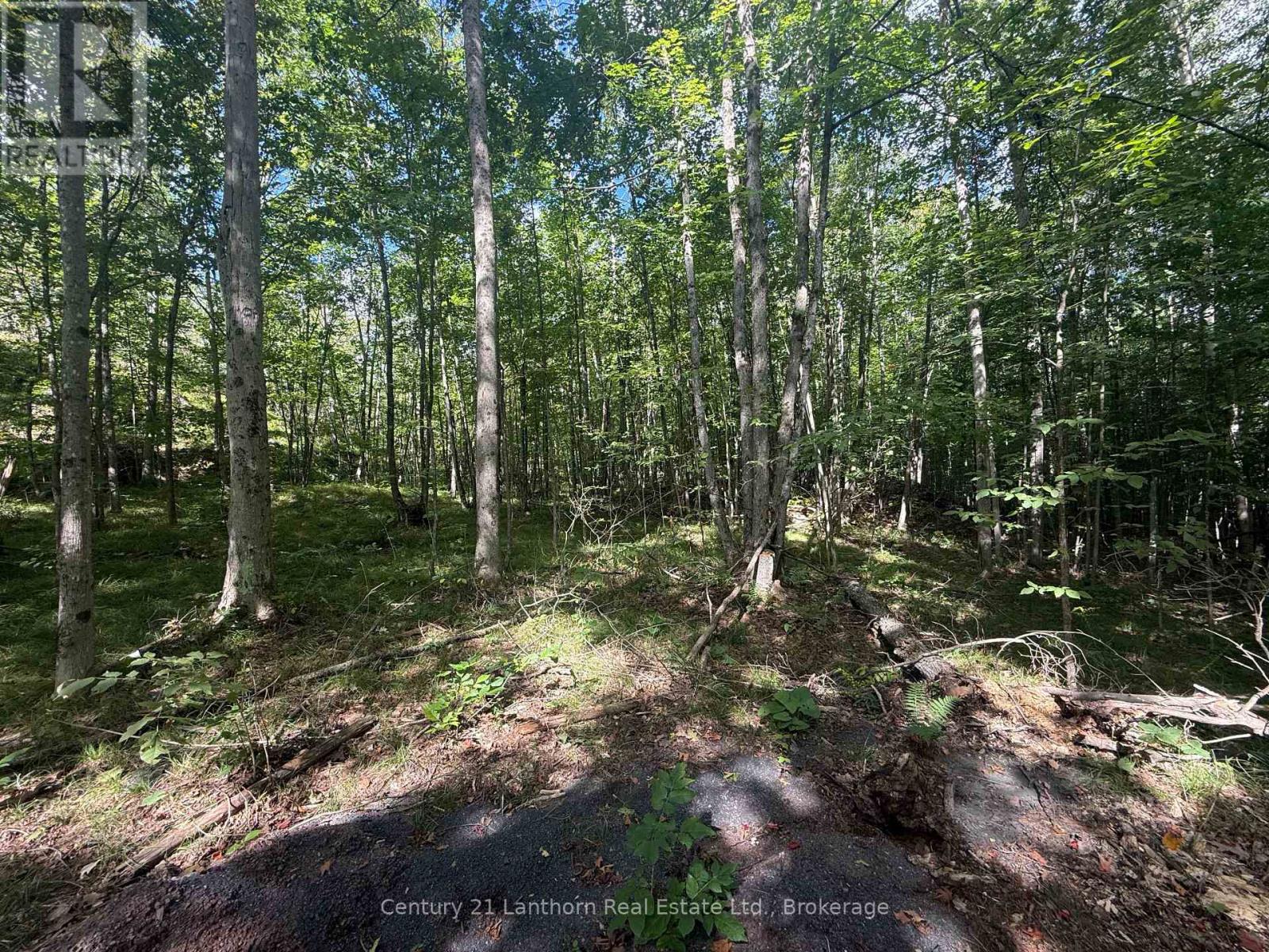 00 Middle Lot Highway 62, Madoc, Ontario  K0K 2K0 - Photo 4 - X13803664