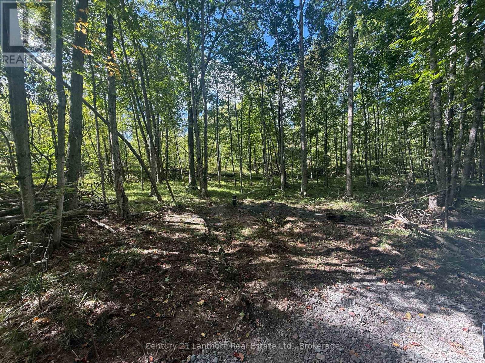 00 Middle Lot Highway 62, Madoc, Ontario  K0K 2K0 - Photo 6 - X13803664