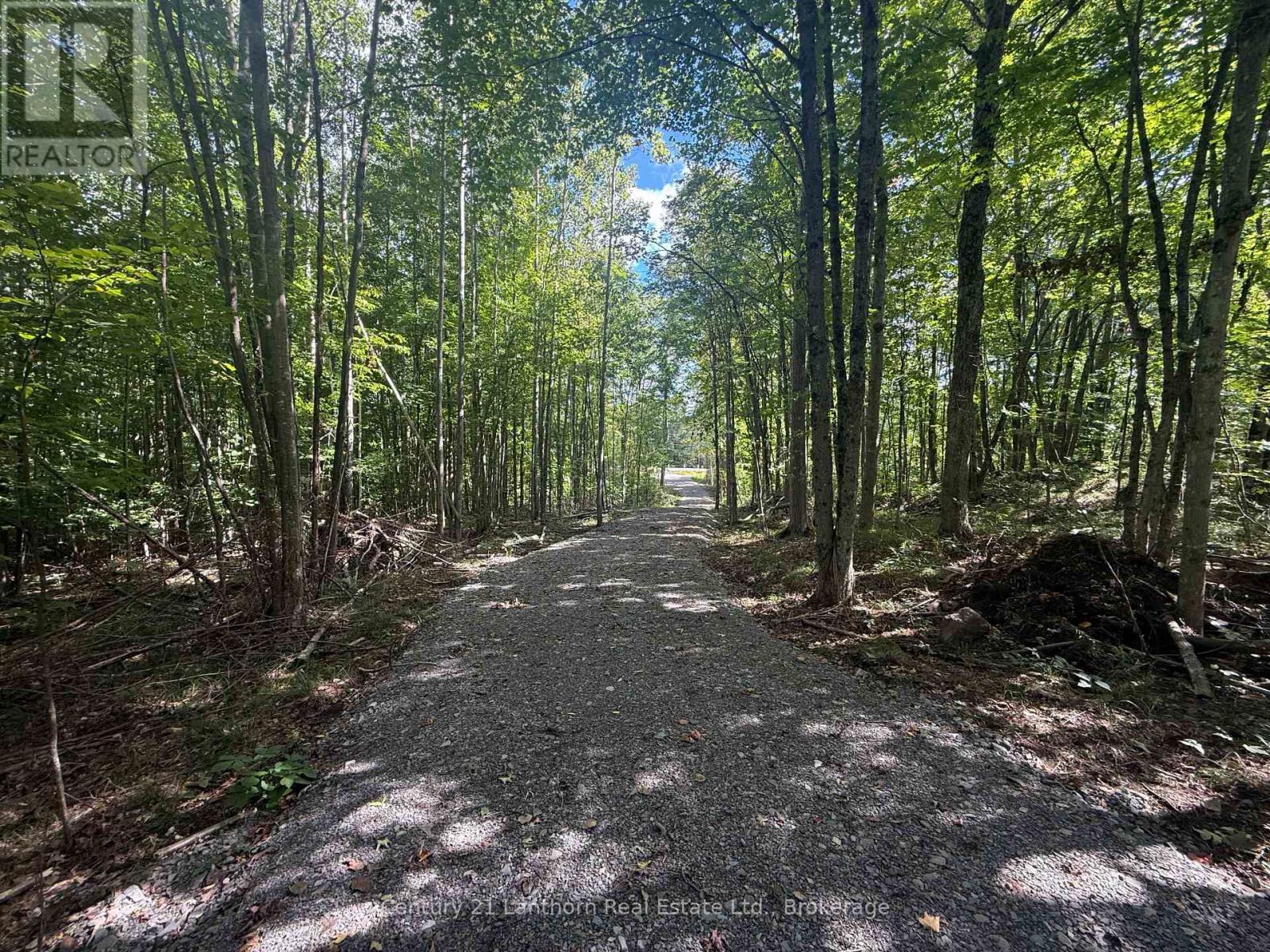 00 Middle Lot Highway 62, Madoc, Ontario  K0K 2K0 - Photo 7 - X13803664