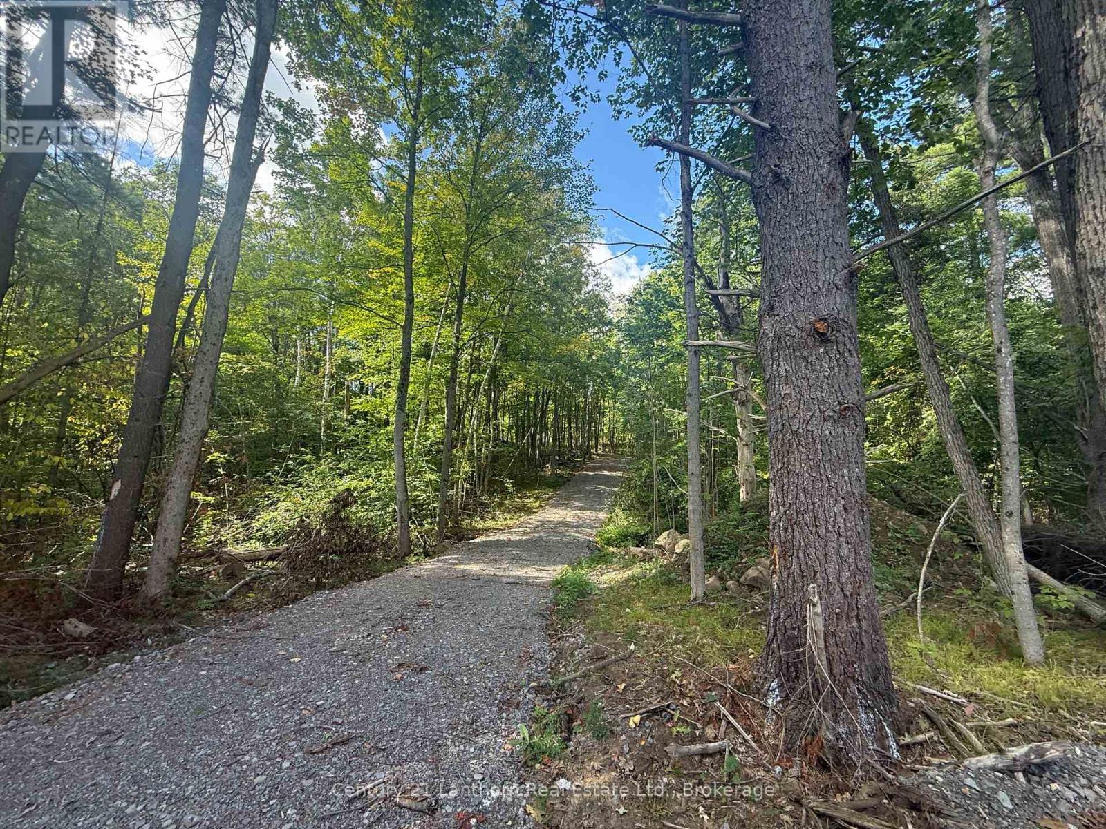 00 Middle Lot Highway 62, Madoc, Ontario  K0K 2K0 - Photo 8 - X13803664
