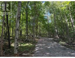 00 MIDDLE LOT HIGHWAY 62, Madoc, Ontario