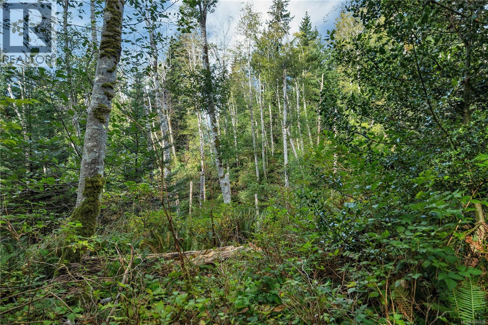 Lot 1 Cliff Rd, Quadra Island, British Columbia  V0P 1N0 - Photo 11 - 1050229