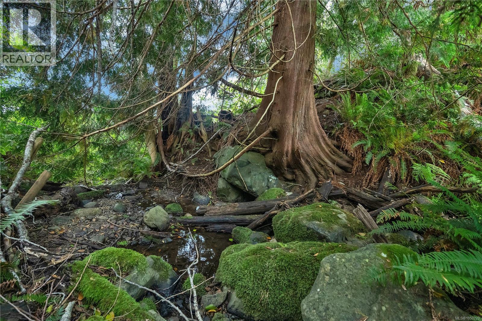 Lot 1 Cliff Rd, Quadra Island, British Columbia  V0P 1N0 - Photo 13 - 1050229