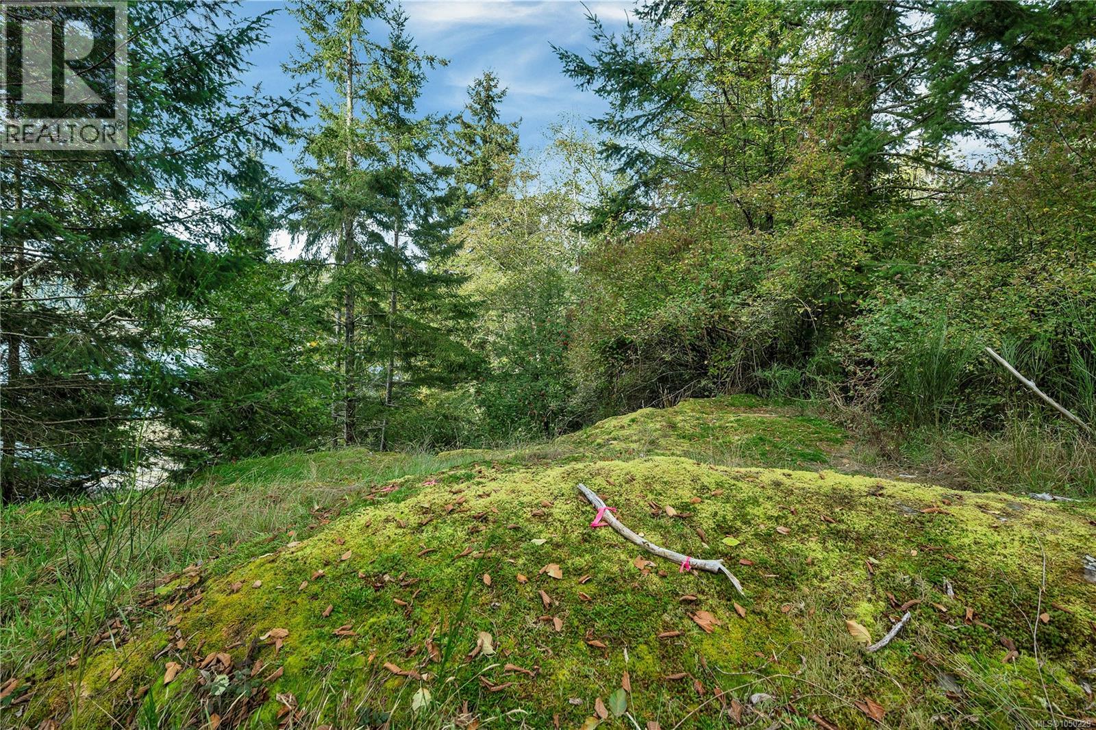 Lot 1 Cliff Rd, Quadra Island, British Columbia  V0P 1N0 - Photo 2 - 1050229