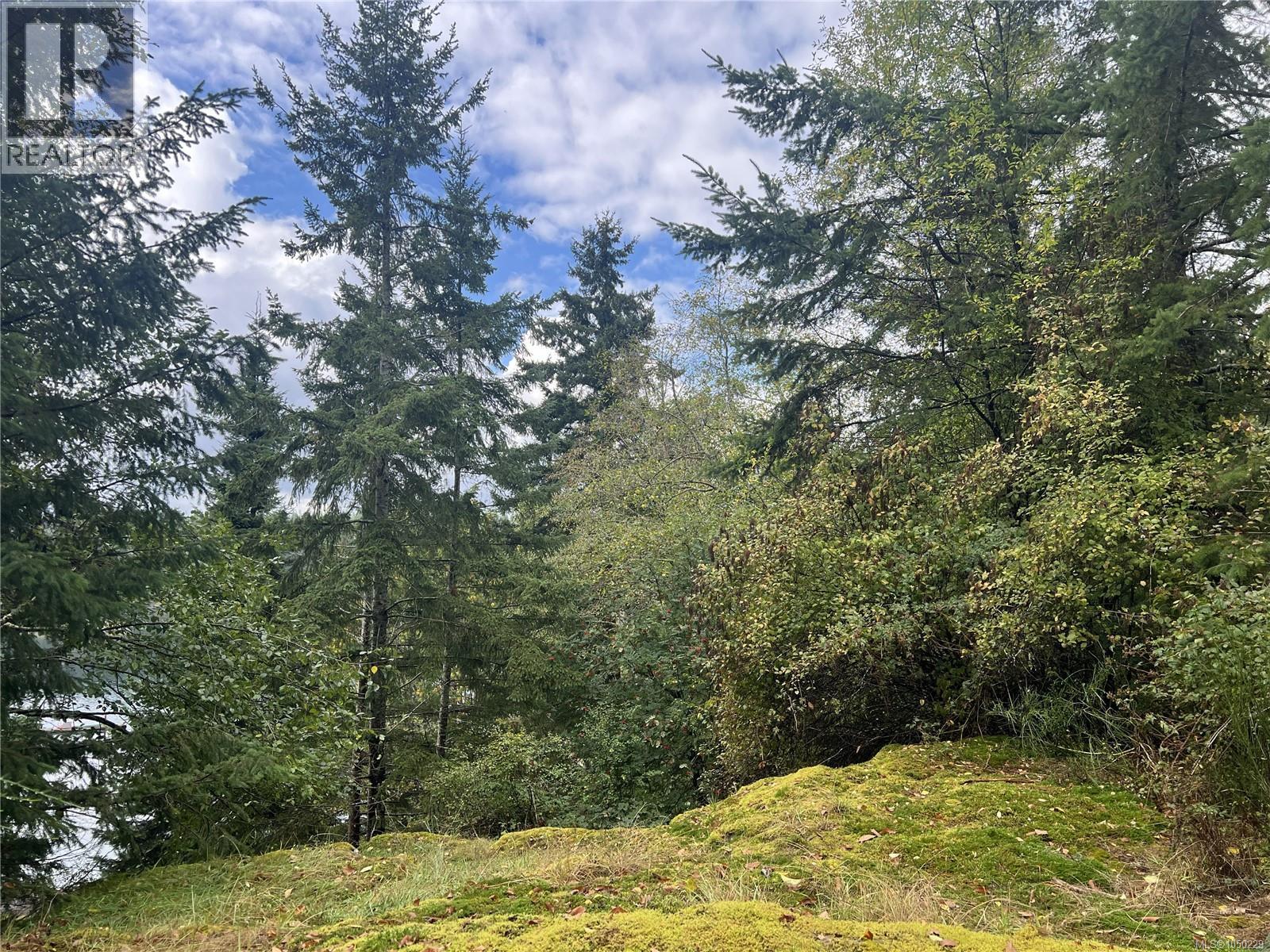 Lot 1 Cliff Rd, Quadra Island, British Columbia  V0P 1N0 - Photo 6 - 1050229