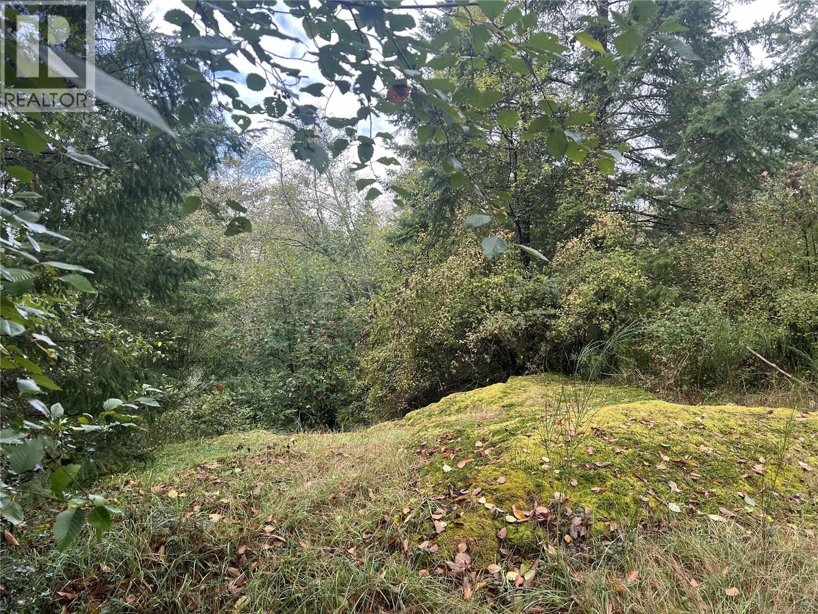 Lot 1 Cliff Rd, Quadra Island, British Columbia  V0P 1N0 - Photo 7 - 1050229