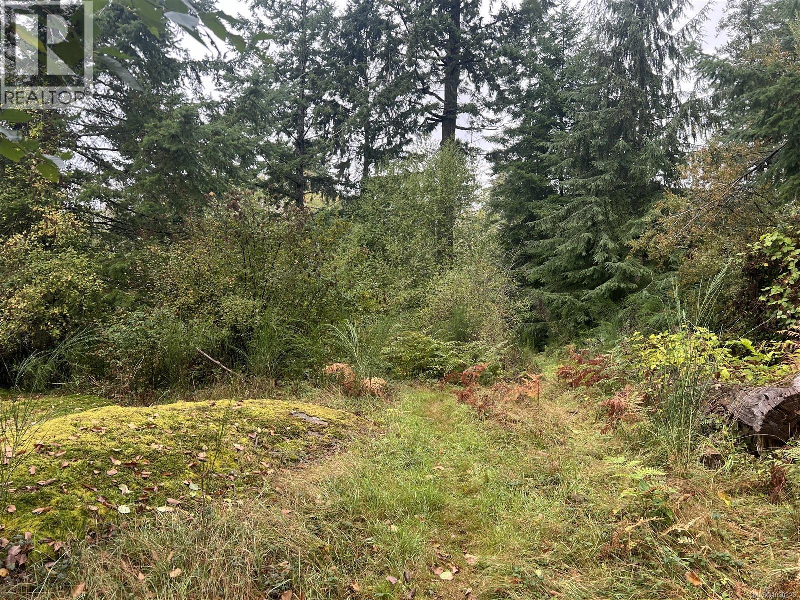 Lot 1 Cliff Rd, Quadra Island, British Columbia  V0P 1N0 - Photo 8 - 1050229