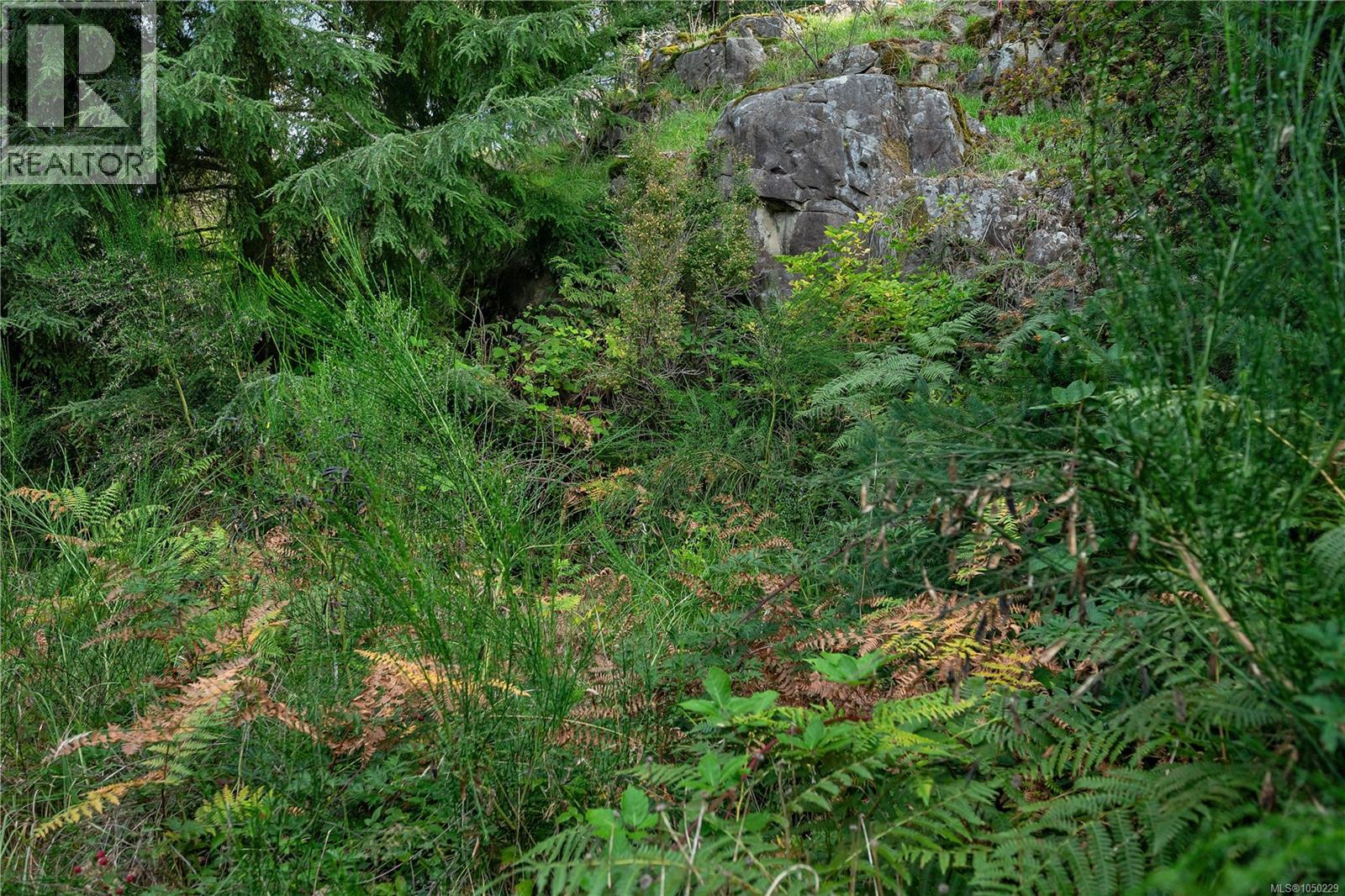 Lot 1 Cliff Rd, Quadra Island, British Columbia  V0P 1N0 - Photo 9 - 1050229