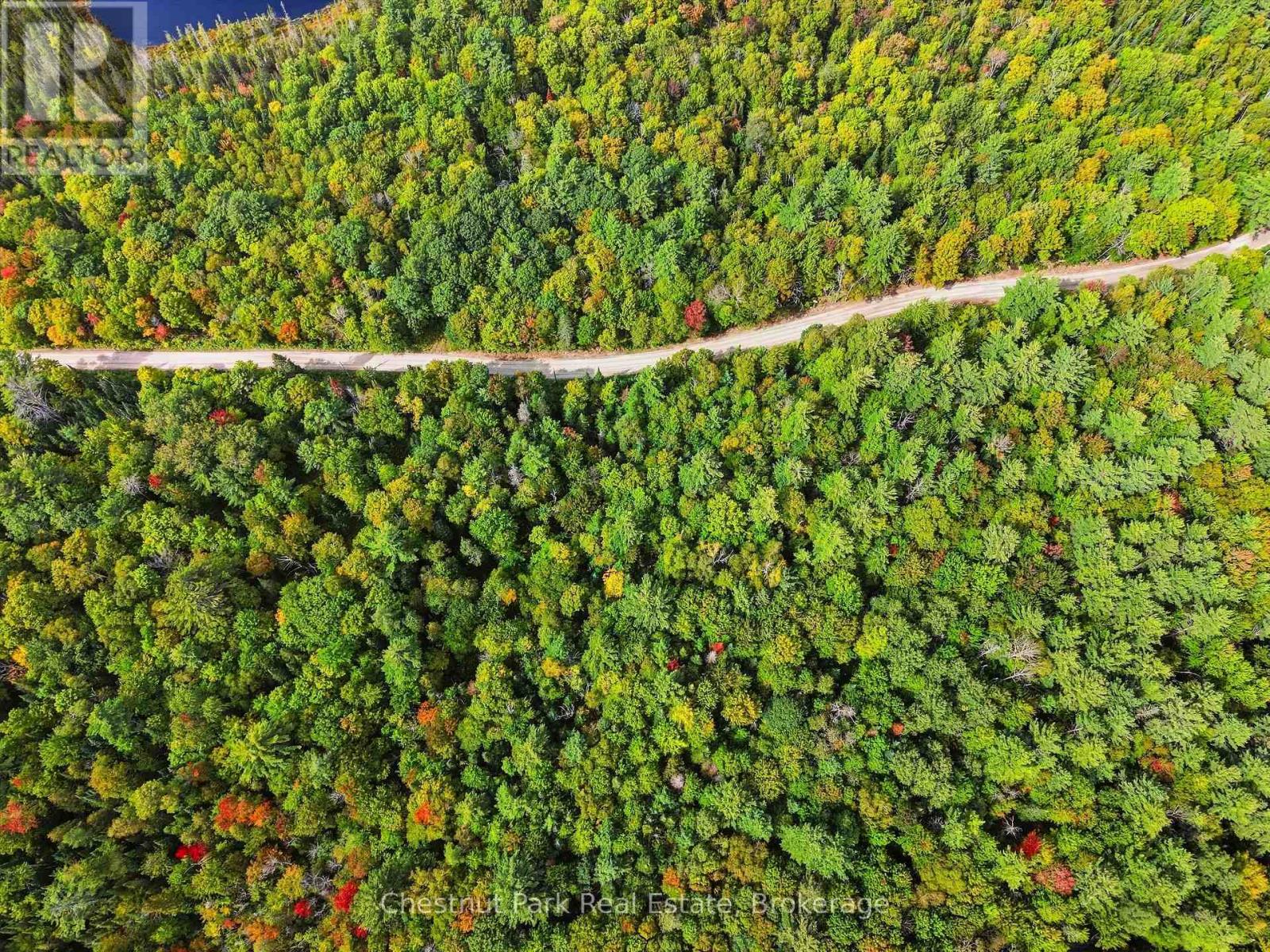 00 Paint Lake Road, Lake Of Bays, Ontario  P0B 1A0 - Photo 10 - X13803918