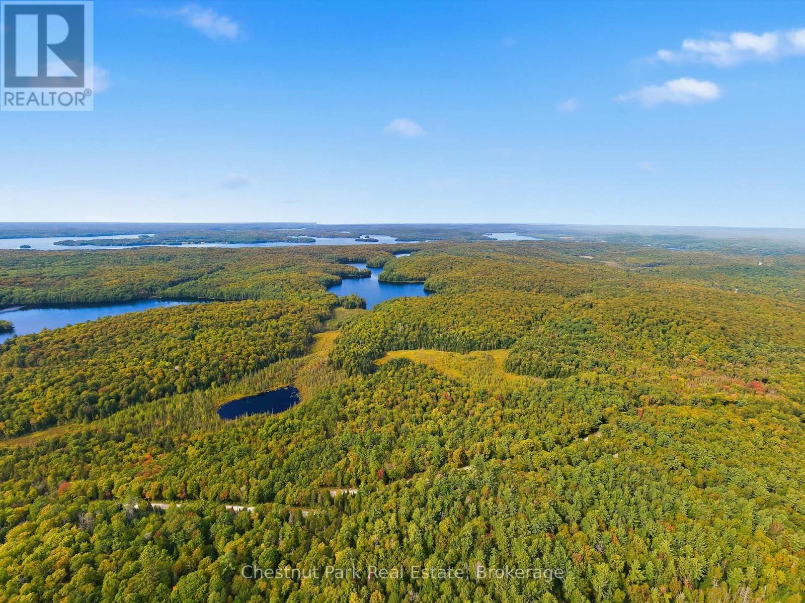 00 Paint Lake Road, Lake Of Bays, Ontario  P0B 1A0 - Photo 11 - X13803918