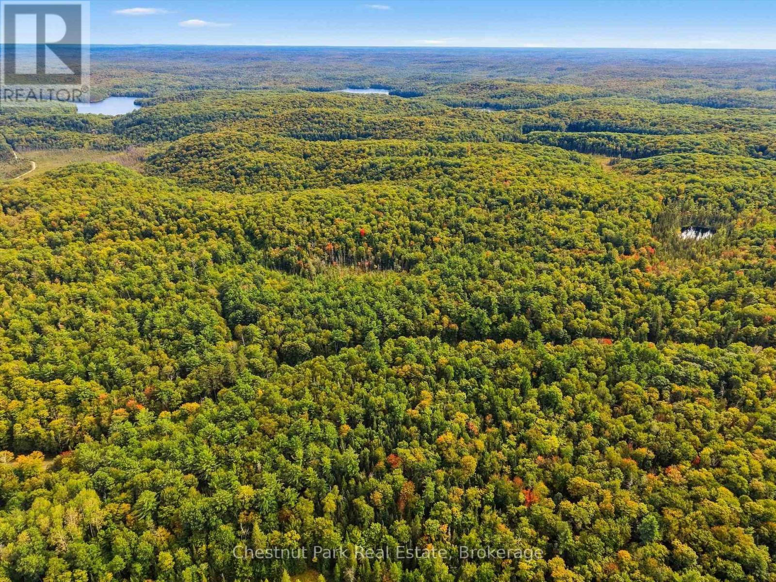 00 Paint Lake Road, Lake Of Bays, Ontario  P0B 1A0 - Photo 12 - X13803918