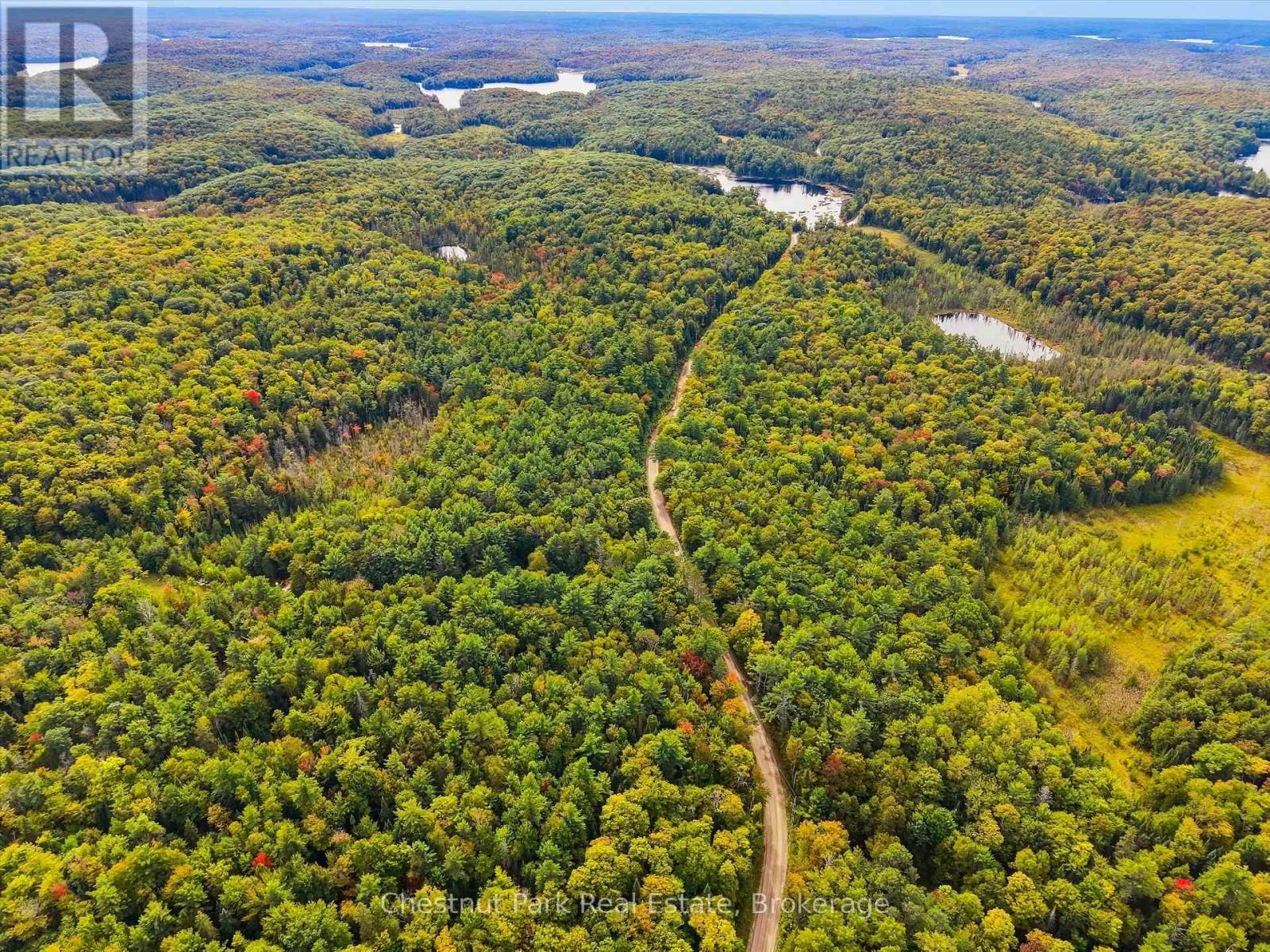 00 Paint Lake Road, Lake Of Bays, Ontario  P0B 1A0 - Photo 13 - X13803918