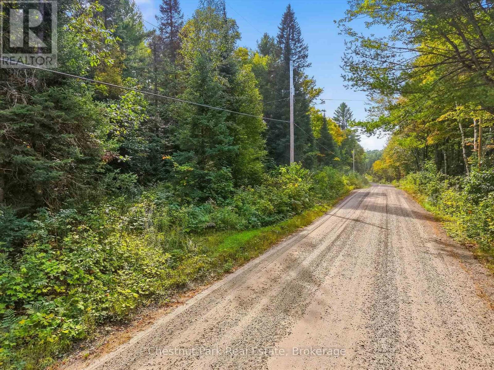 00 Paint Lake Road, Lake Of Bays, Ontario  P0B 1A0 - Photo 2 - X13803918