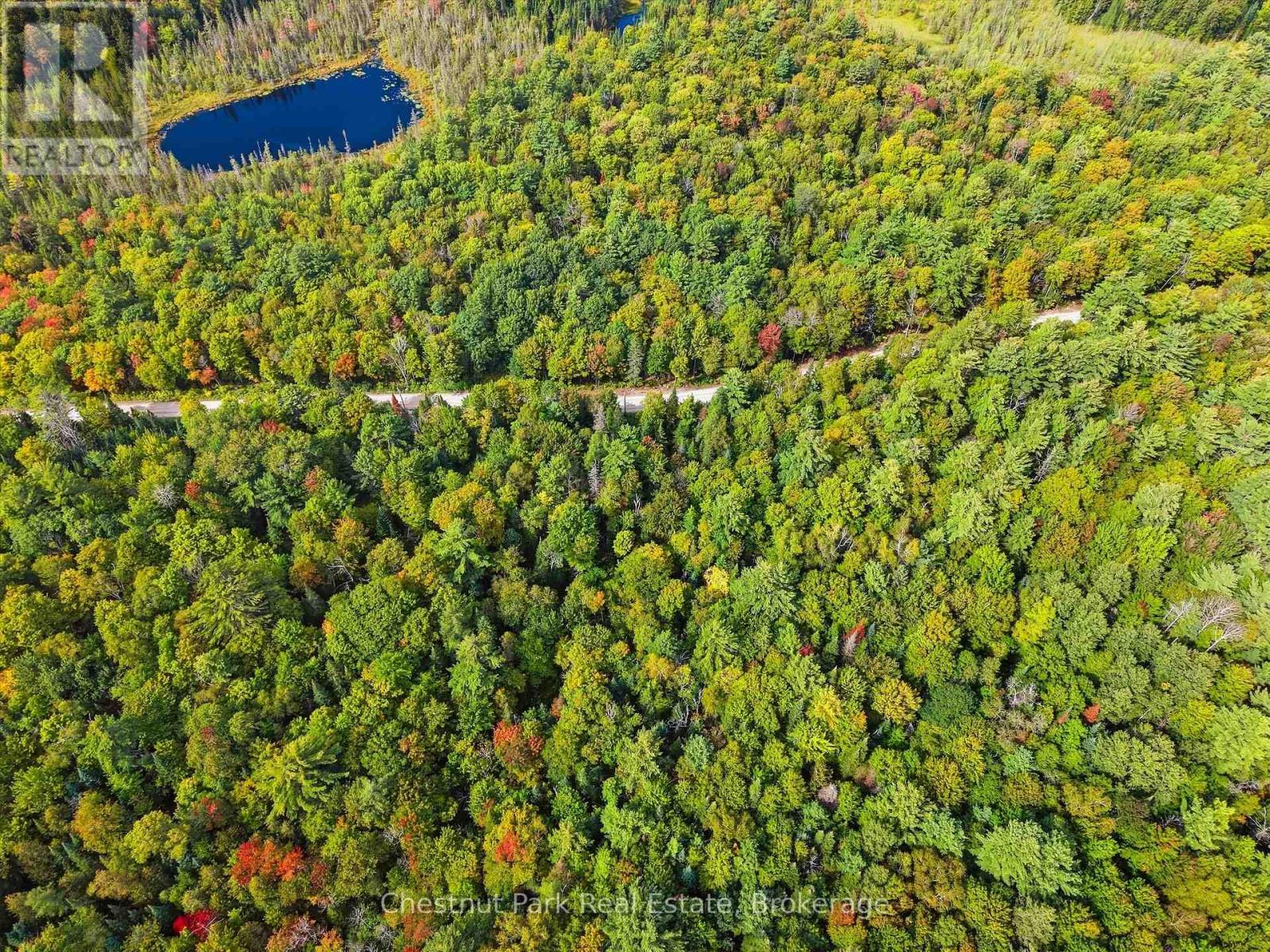 00 Paint Lake Road, Lake Of Bays, Ontario  P0B 1A0 - Photo 3 - X13803918