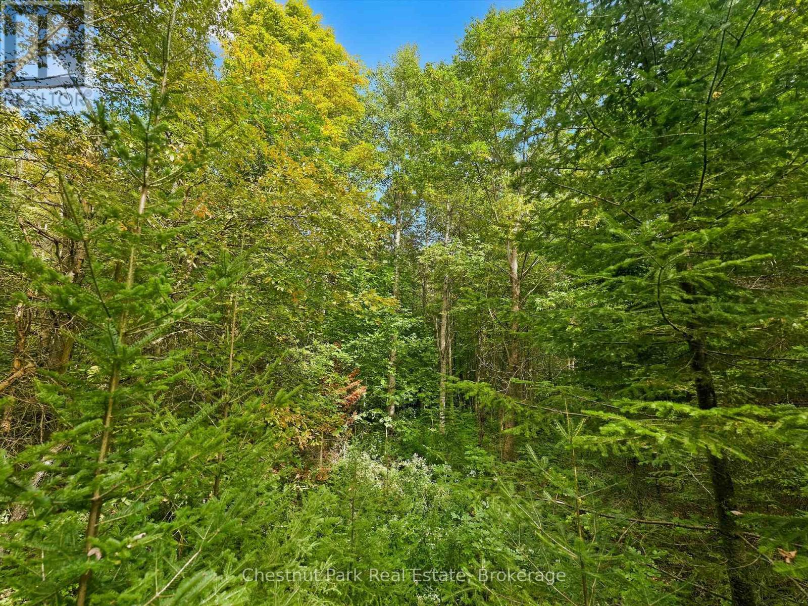 00 Paint Lake Road, Lake Of Bays, Ontario  P0B 1A0 - Photo 5 - X13803918