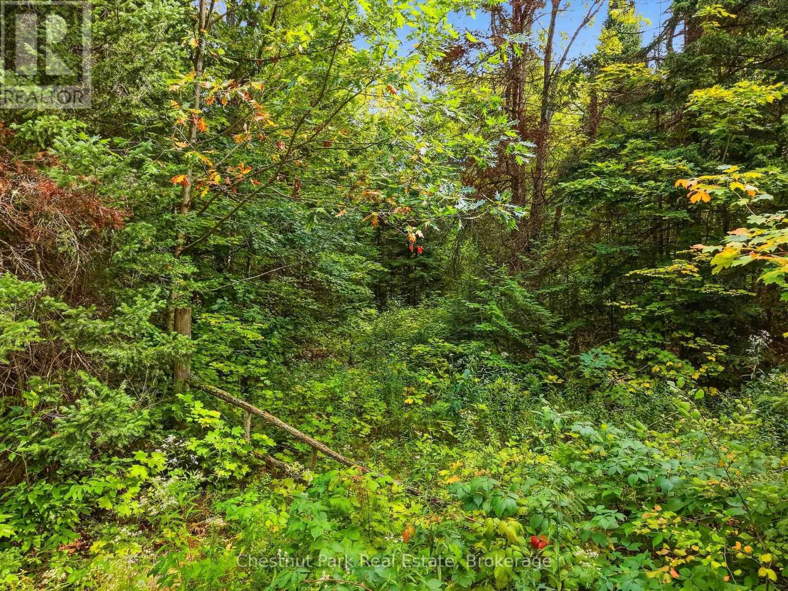00 Paint Lake Road, Lake Of Bays, Ontario  P0B 1A0 - Photo 6 - X13803918