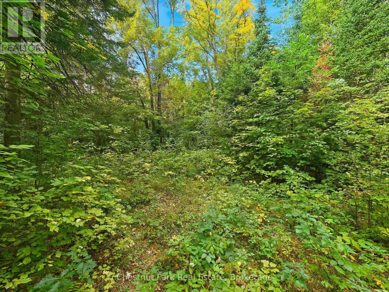 00 Paint Lake Road, Lake Of Bays, Ontario  P0B 1A0 - Photo 7 - X13803918