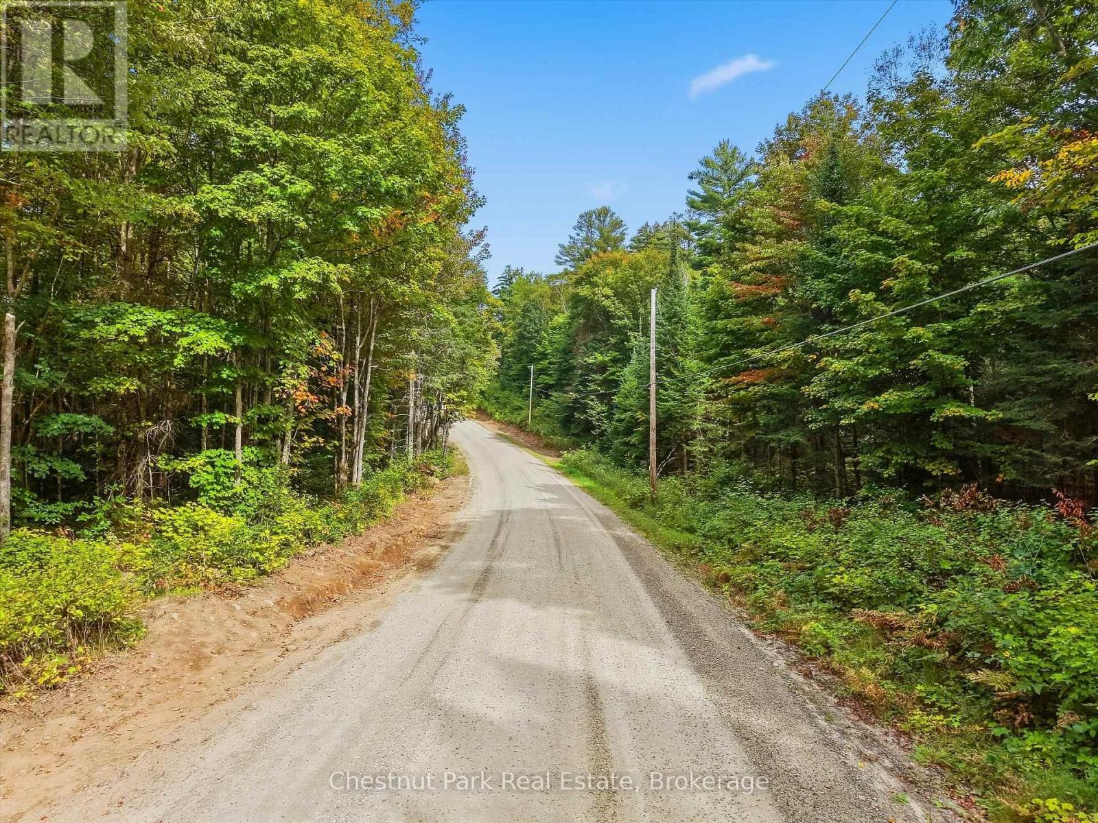 00 Paint Lake Road, Lake Of Bays, Ontario  P0B 1A0 - Photo 9 - X13803918