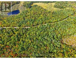 00 PAINT LAKE ROAD, lake of bays (ridout), Ontario
