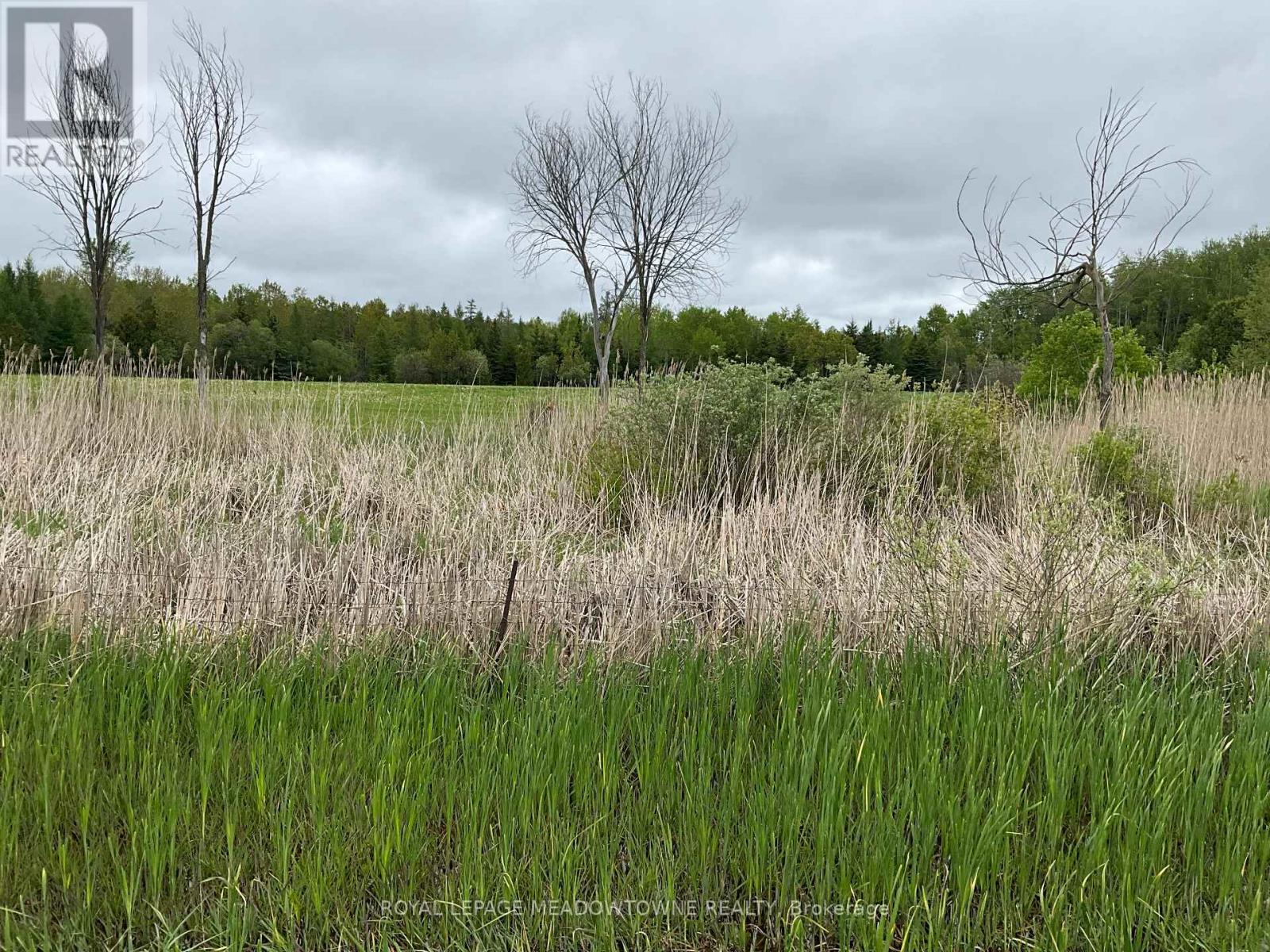 5169 First Line, Erin, Ontario  N0B 2K0 - Photo 10 - X13803704