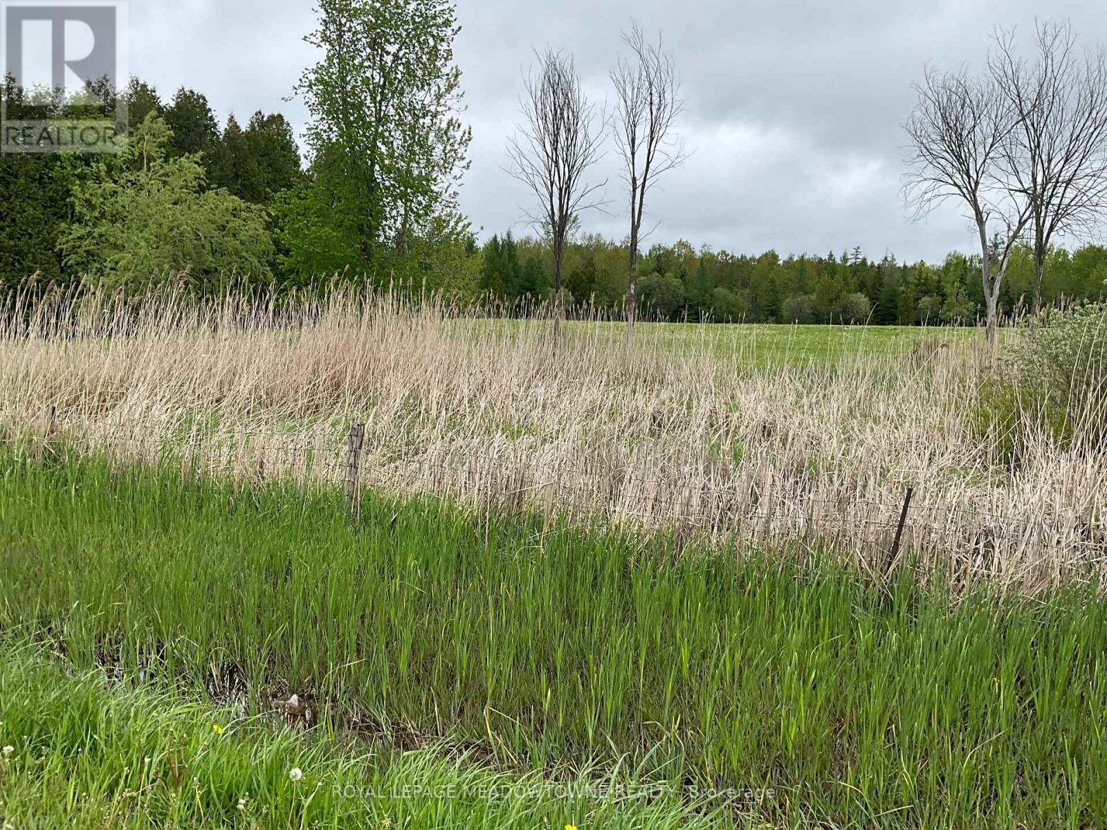 5169 First Line, Erin, Ontario  N0B 2K0 - Photo 7 - X13803704