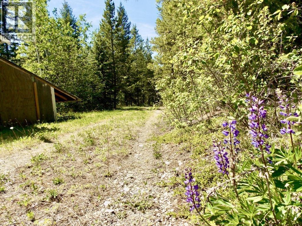 picture 29