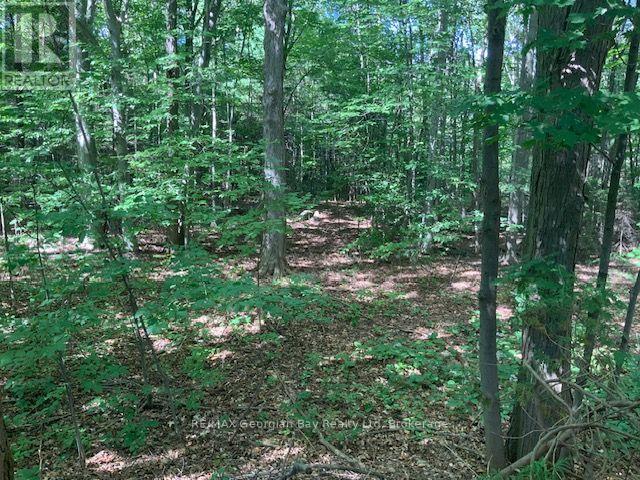 9513 County Rd 93 Road NE, Midland, Ontario  L4R 5K6 - Photo 20 - S13803118