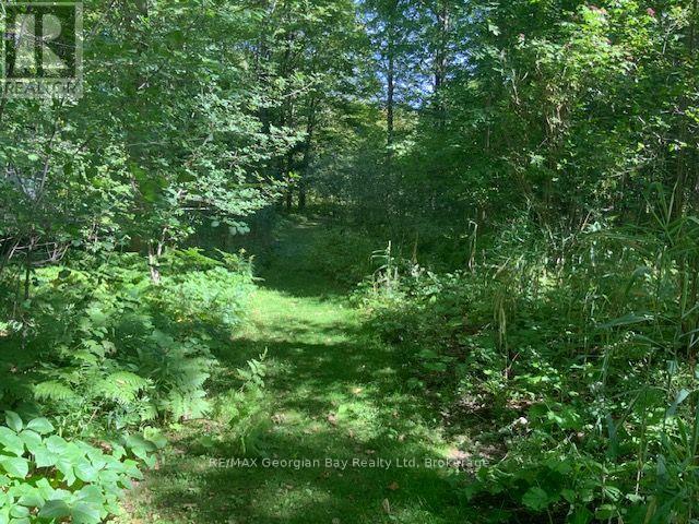 9513 County Rd 93 Road Ne, Midland, Ontario  L4R 5K6 - Photo 27 - S13803118